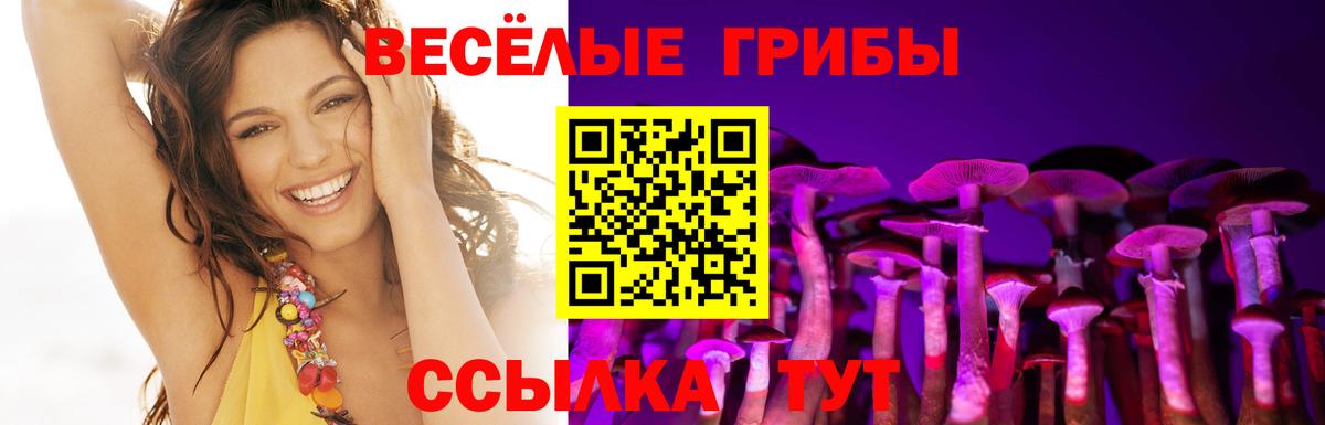 Псилоцибиновые грибы MAGIC MUSHROOMS Куйбышев
